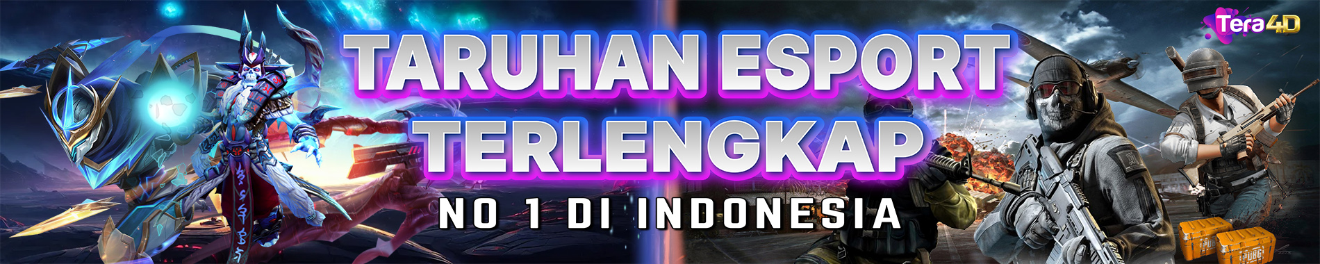 https://tera4dx.com/
